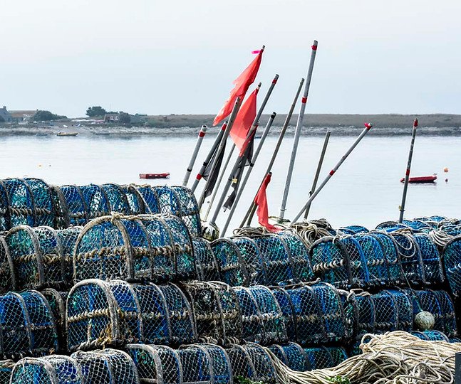Les Viviers des Glénan (Chez Castric)